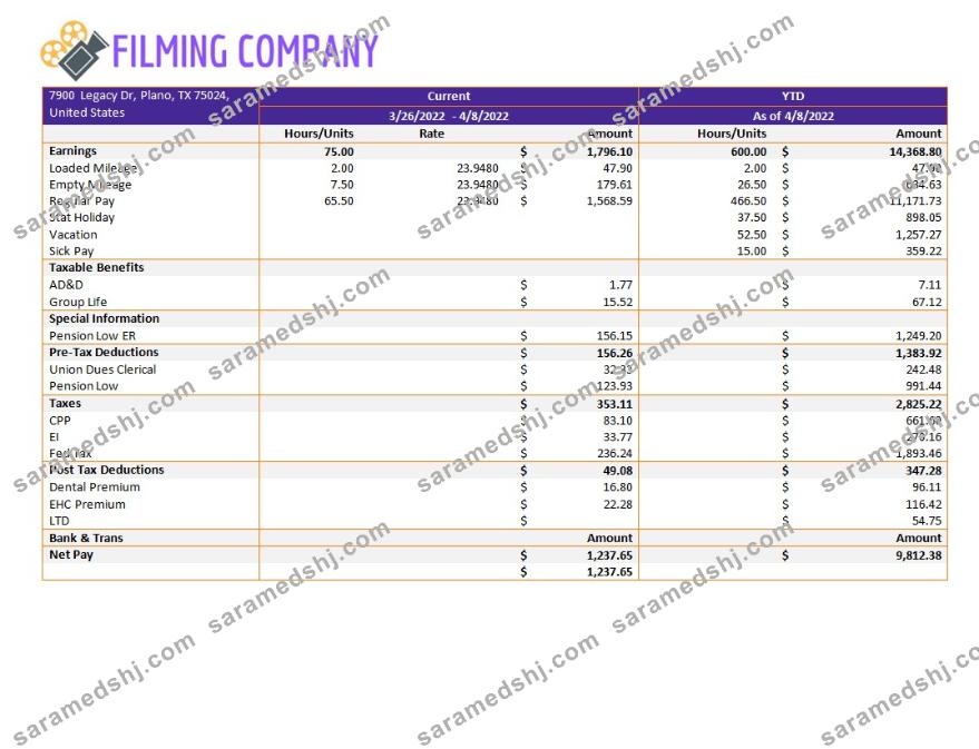Filming company pay stub template in Word and PDF formats